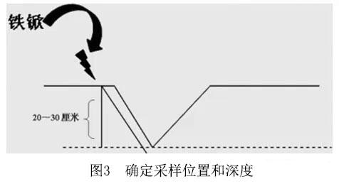 確定采樣位置和深度