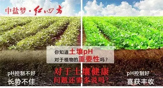 土壤酸堿性影響作物收成