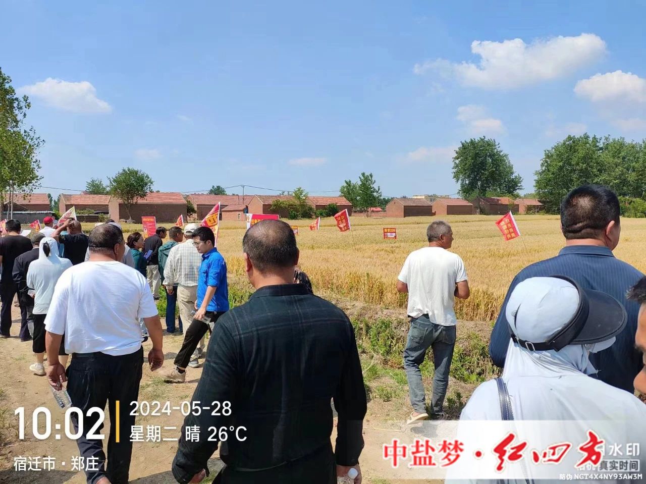 91香蕉视频污污污勁聚天香蕉黄色一级片專用肥為香蕉黄色一级片豐收助力